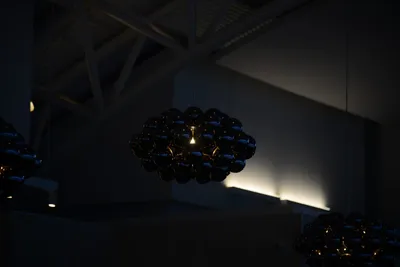 DSC_3166 (Large).JPG